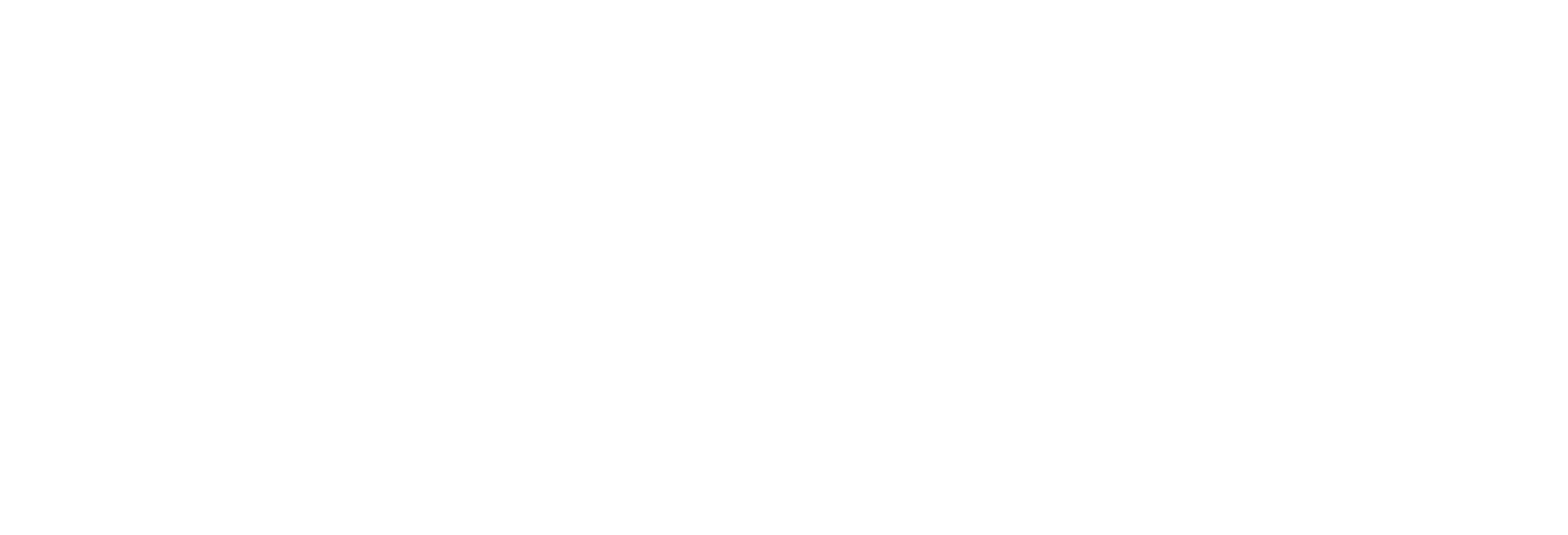 Action Students